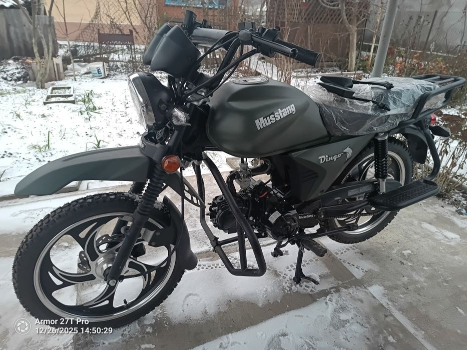 Mustang.MT-125. DINGO.