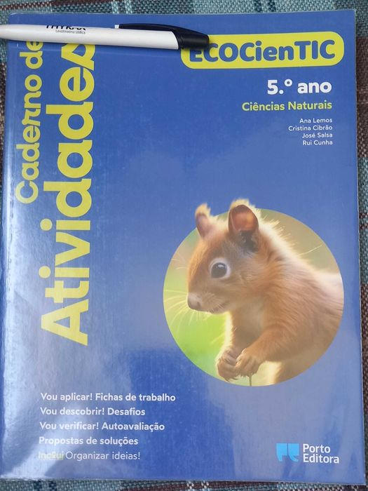 Caderno de atividades Livros fichas 5 Ano