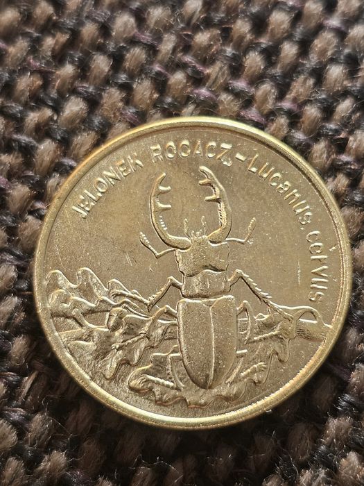 Jelonek rogacz 2zl ng kopia