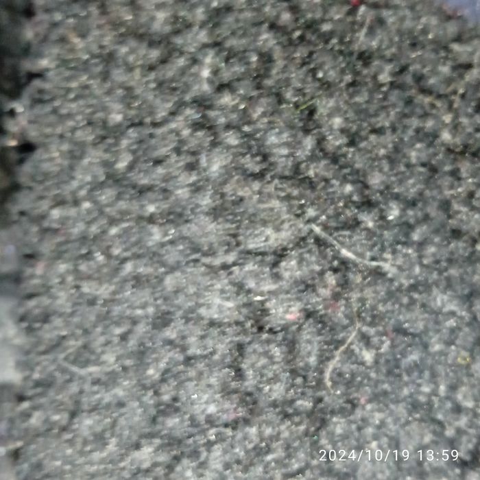 Kurtka Skórzana Kurtka Ze Skóry Skóra Naturalna Damska Zimowa