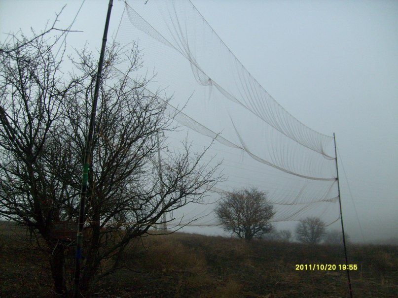 Продам рада для кольцеванія і міграції певних птіц