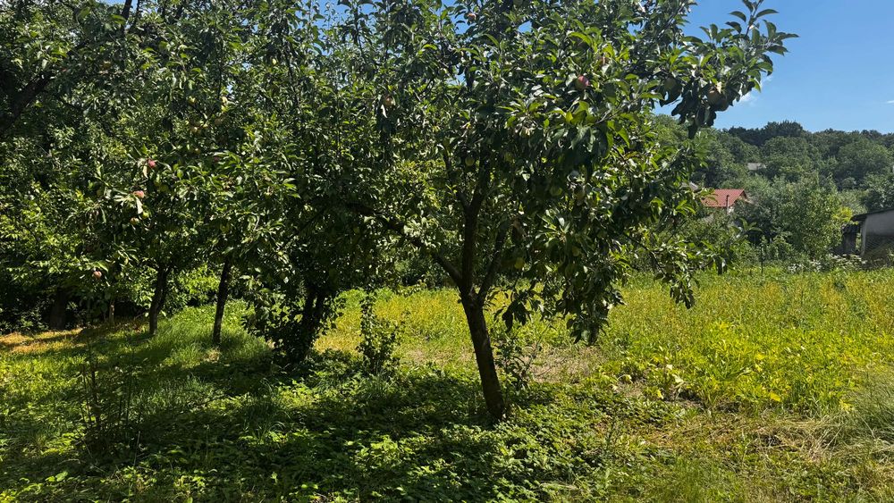 Продам цегляний будинок 80 соток