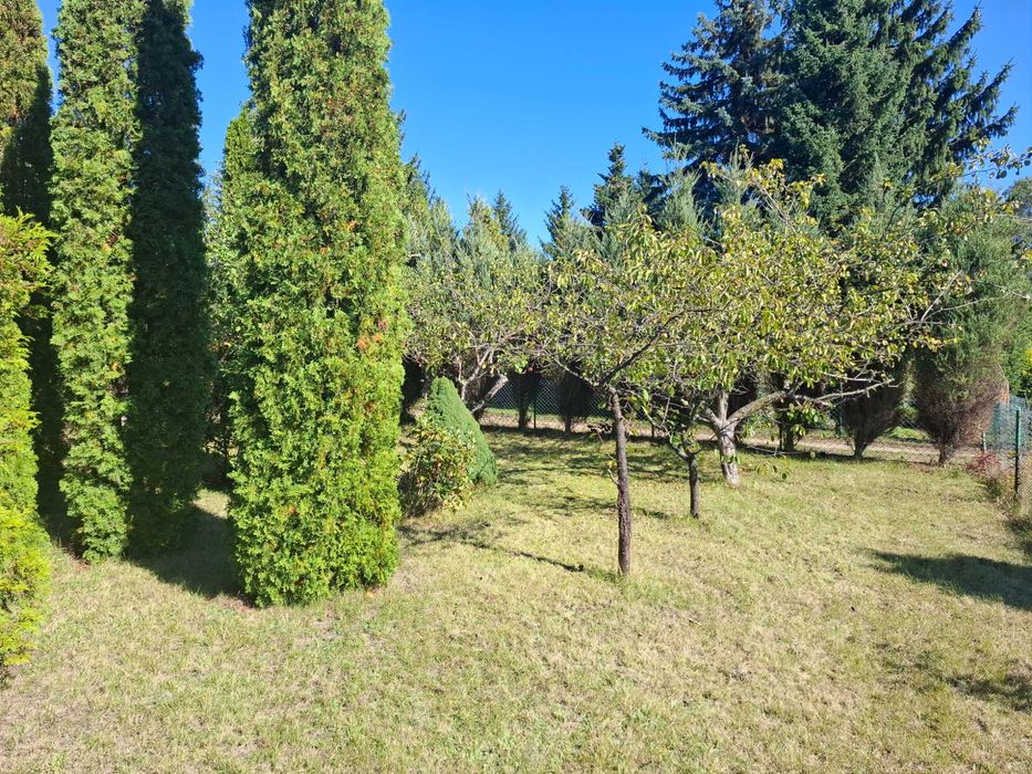 Sprzedam działkę ROD "Kolejarz" Olechów