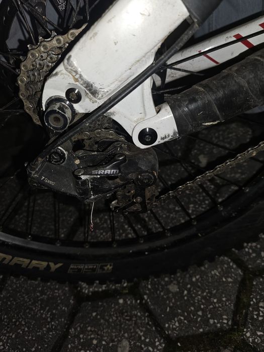 Specialized status 2