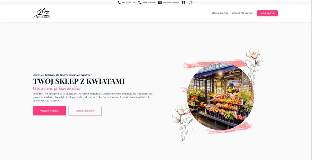 Tanie Strony internetowe, Sklepy E-commerce, Aplikacje Webowe, Automatyzacje AI