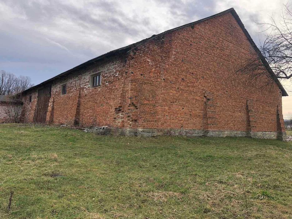 Нежитлове приміщення, площею 675,9 м. кв. Івано-Франківська обл.