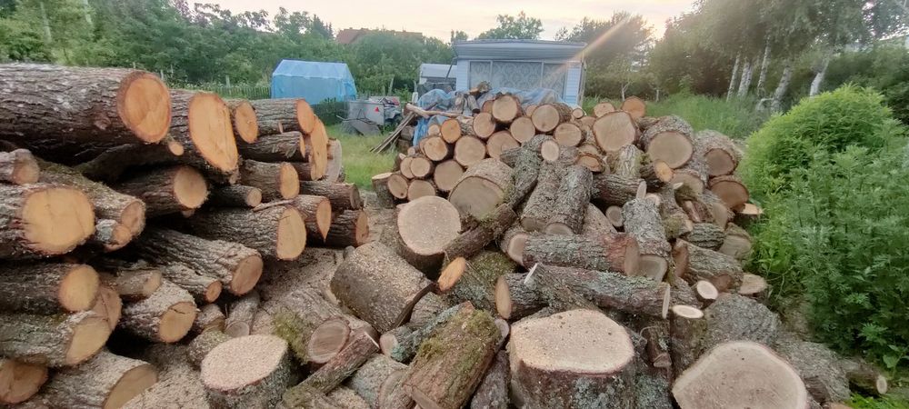 Profesjonalne usługi ogrodowe i porządkowe – Szybko, terminowo i solidnie!