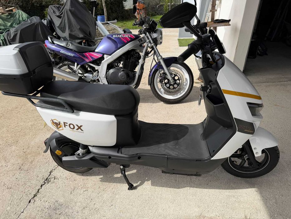 Mota Eletrica Fox Goose