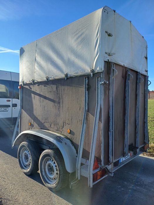 Przyczepa na konie böckmann 98rok z Niemiec