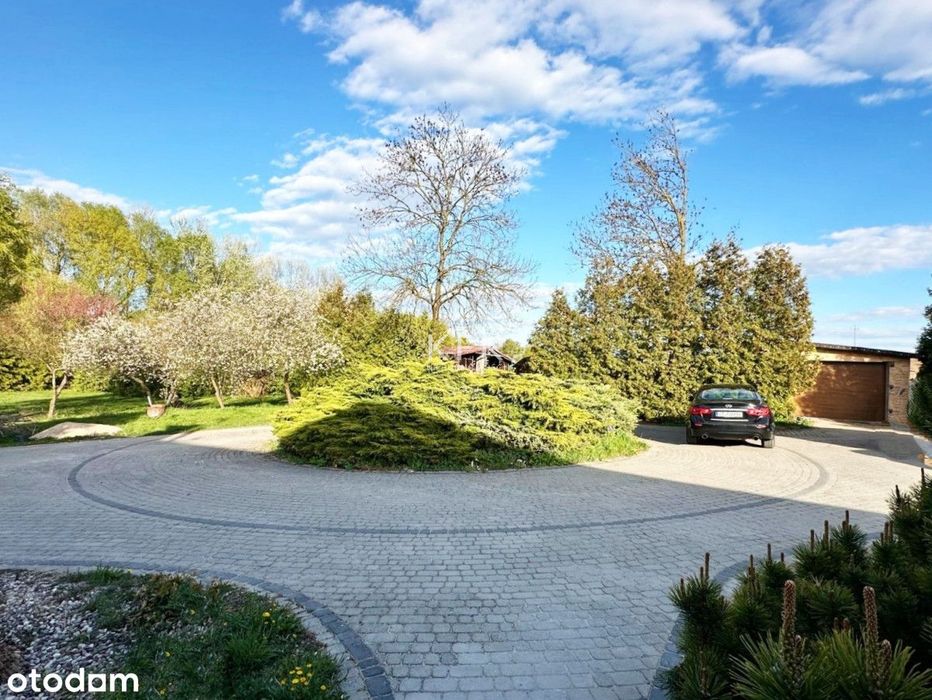 Działka 6000 m² Niczym Prywatny Park - Widok 4