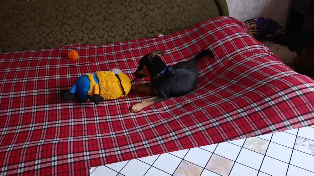 Тоша чудовий хлопчик чекає на свою родину