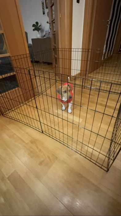 Outech Jaula Dobrável Preta para cães