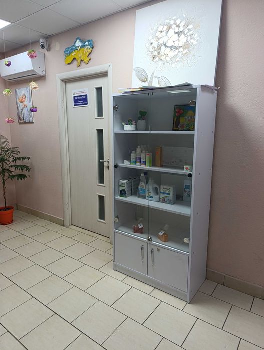 Діючий сімейний центр розвитку + власне приміщення 240 м² - Слободка- Одеські Традиції