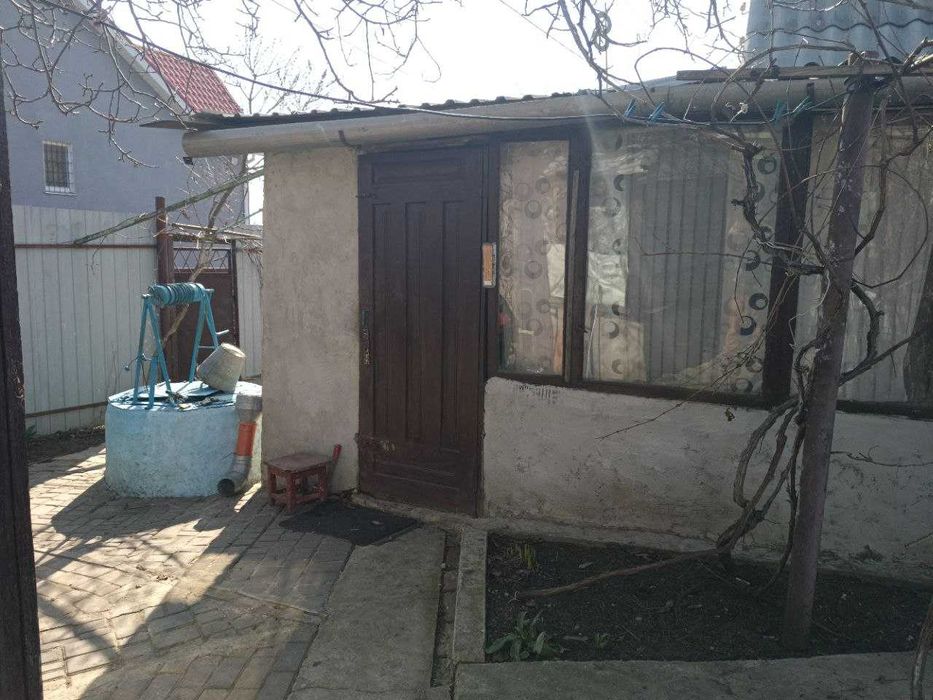 Дача возле леса Алтестово