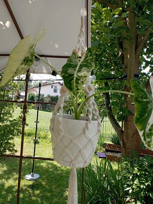 kwietnik wiszący ze sznurka makrama