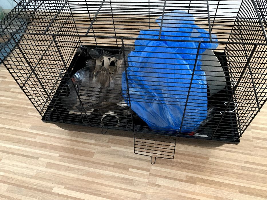 Sprzedam klatkę dla chomika/świnki morskiej, 58x38x43
