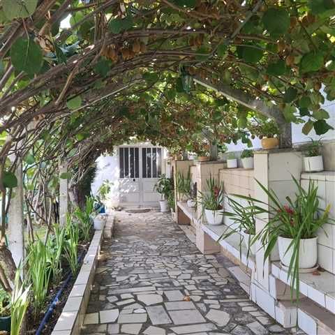 Moradia Bifamiliar em Antanhol