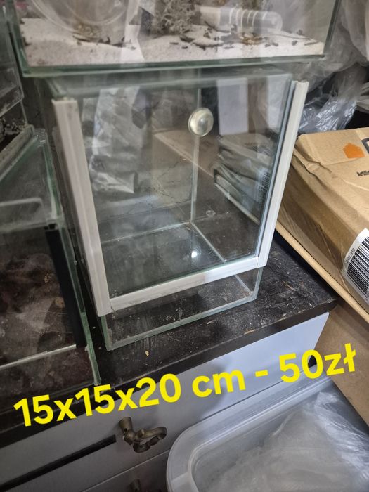 Terraria rozne wymiary.