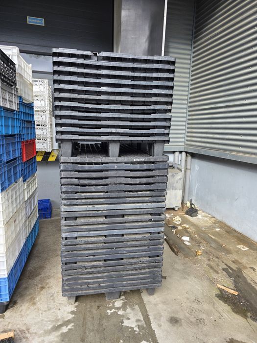 Paletes de plástico