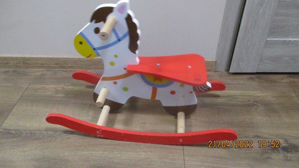 konik na biegunach,