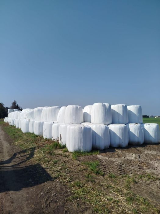 Sianokiszonka z traw, siano, słoma, ściółka, zbiory 2025