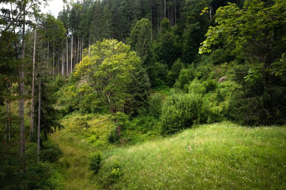 ЕКСКЛЮЗИВНА земельна ділянка площею 300 сот.