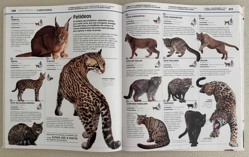 Enciclopédia do Conhecimento – Animais (DK) | Capa Dura