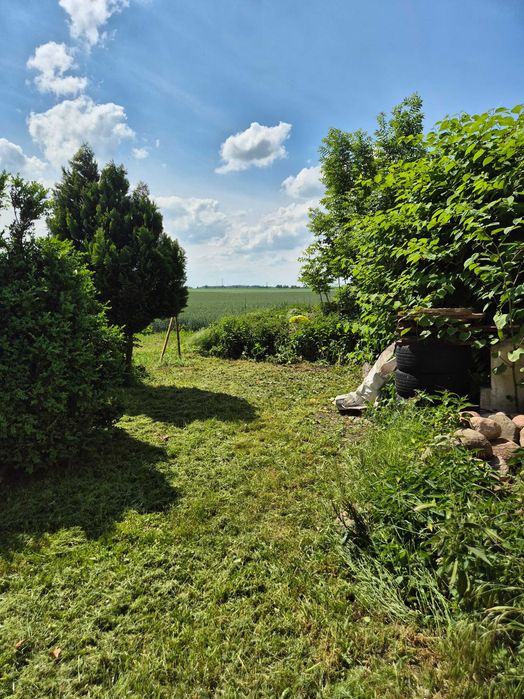 Mieszkanie BEZCZYNSZOWE 2 pokoje + salon | Okazja | Prywatnie | Ogródek