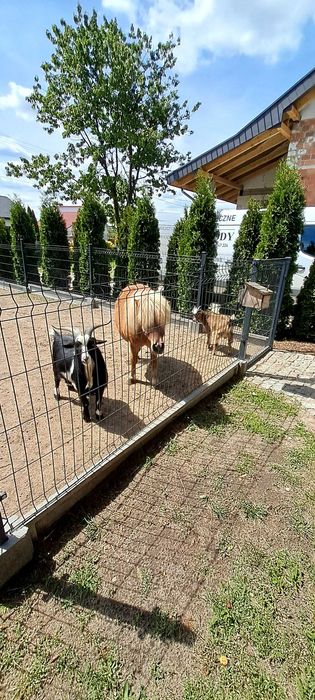 Domek całoroczny 4 osobowy, agroturystyka