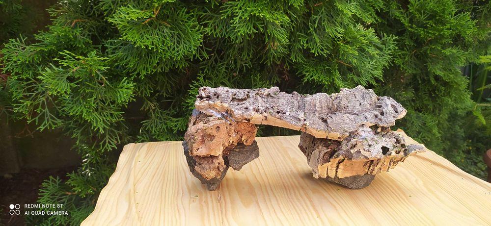 Grota z debu korkowego 28x13 cm.