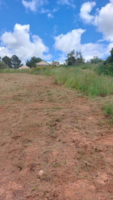 Limpeza e desmatação de terrenos