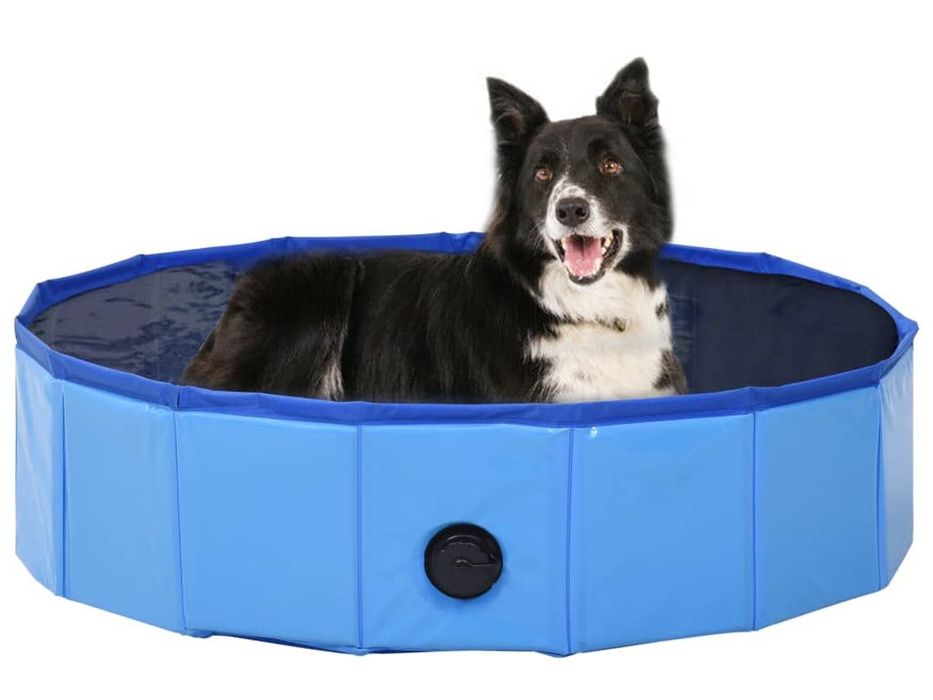 Piscina Pequenas para Cães