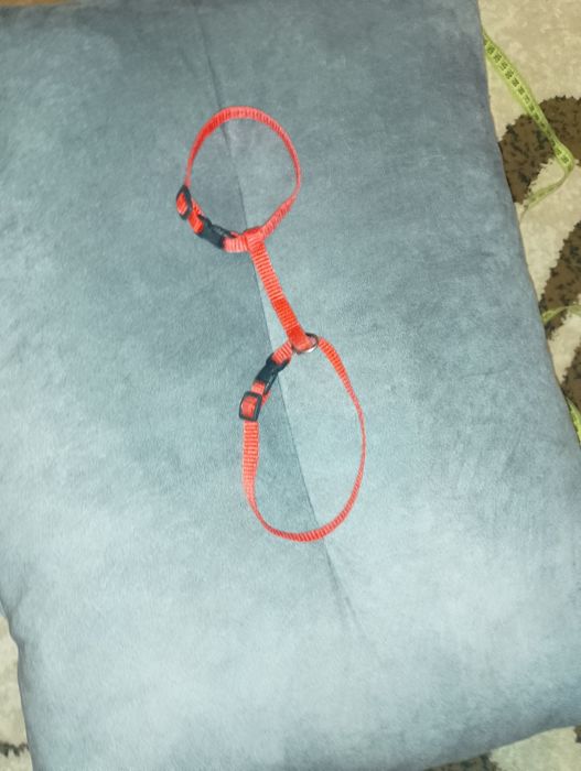 Шлейка для маленьких собак