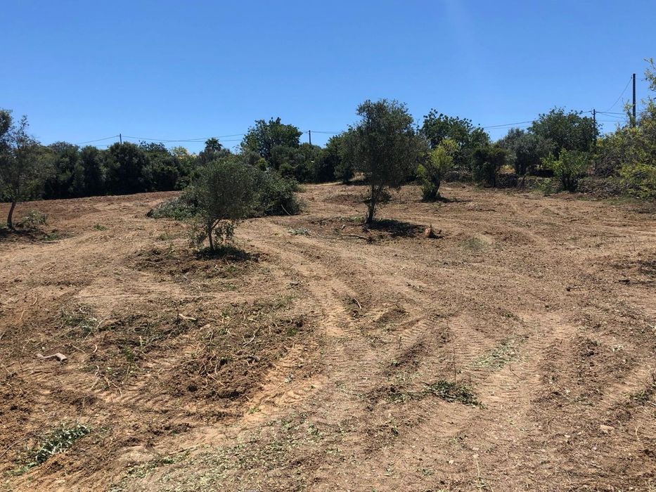 Terreno urbano de 4000m² com ruína e vista panorâmica