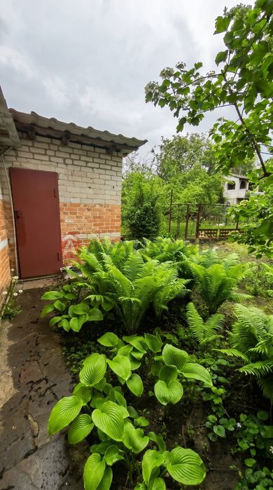 Продам дачу для життя та відпочинку. Поруч ліс та озеро