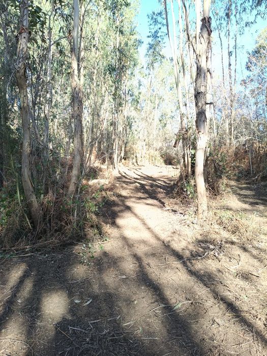 Terreno com uma área de 8180 m2.

Área de  produção Agrícola.