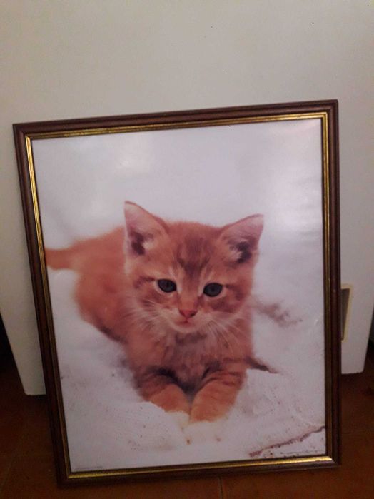 quadros para decoração