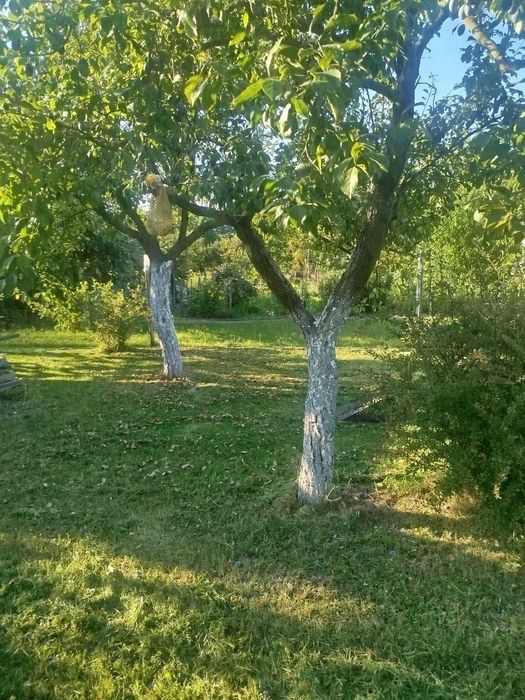sprzedam działke rod