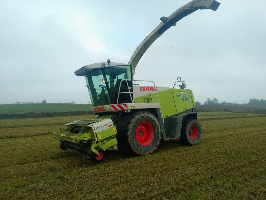Zbiór kukurydza  trawy sieczkarnia Claas jaguar 890 900