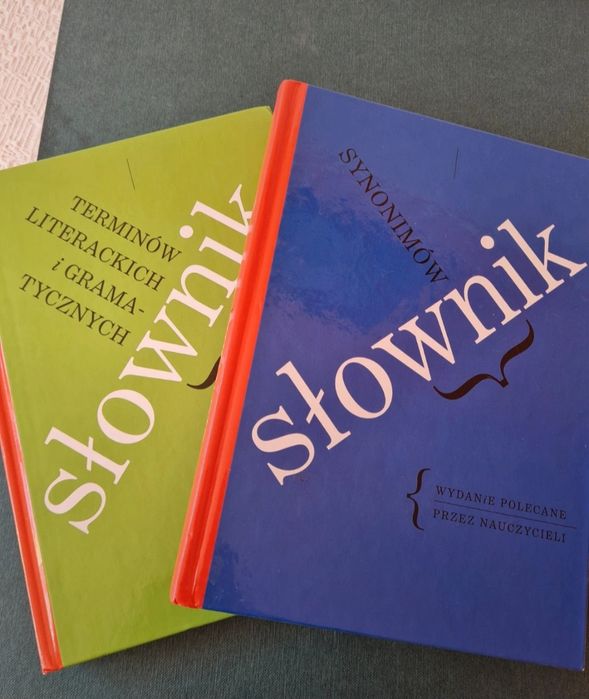 Słownik synonimów terminów literackich i gramatycznych egmont gramatyk