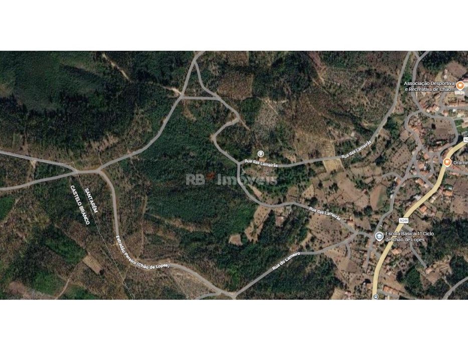 Terreno com Casa no Lameirão, Mação