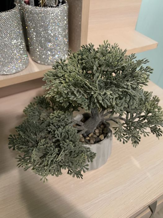 Бонсай Jysk  в идеале