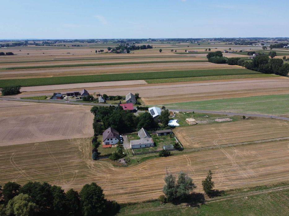 SPRZEDAM ZIEMIĘ ROLNĄ - Kiełczew Smużny Pierwszy