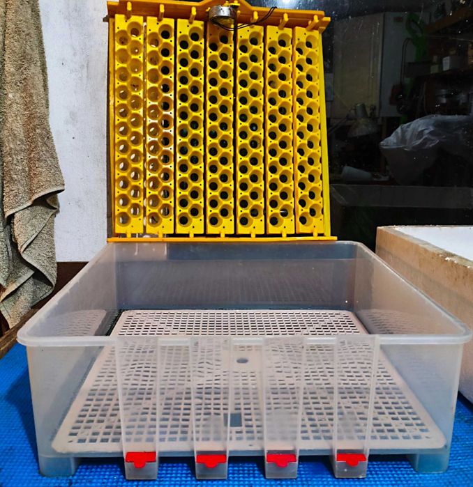 Chocadeira com viragem automática 48 ovos