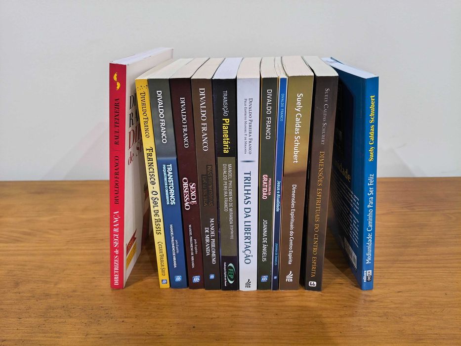 Livros espíritas diversos - Suely Caldas Schubert, Divaldo Franco, Joanna de Ângelis