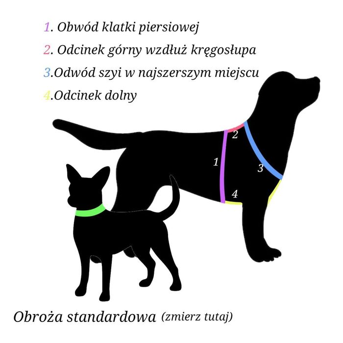 Szelki guardy bezuciskowe