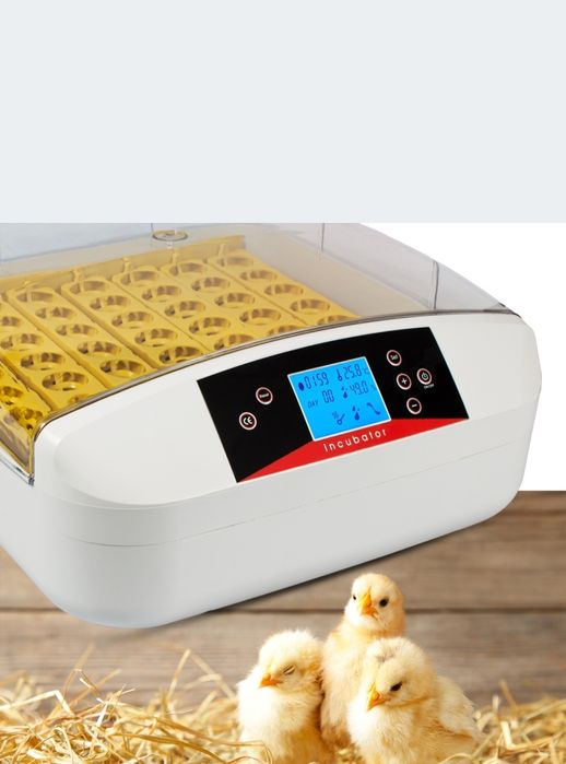 Sprzedam inkubator do jajek automatyczny.