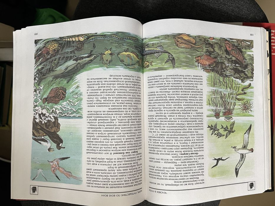 Детская энциклопедия. География