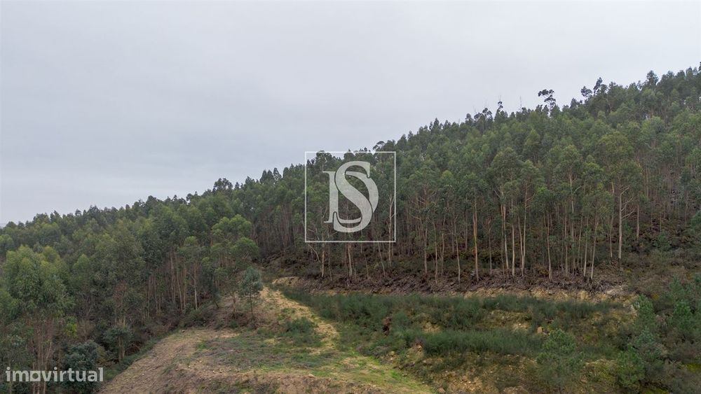 Terreno  Venda em Vandoma,Paredes