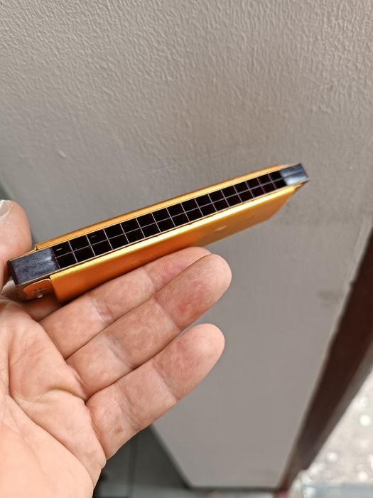Гармошка Swan Harmonica